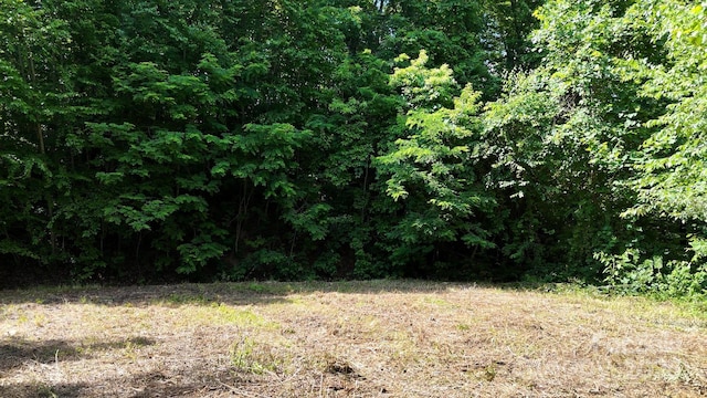 LOT23 Asa Trl, Waynesville, NC 28785 - photo 7