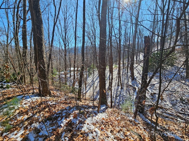 Listing photo 3 for 0 Libbies Ln Unit 6, Waynesville NC 28786