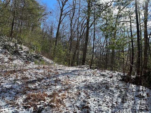 0 Laurel Branch Rd, Waynesville NC, 28785 land for sale