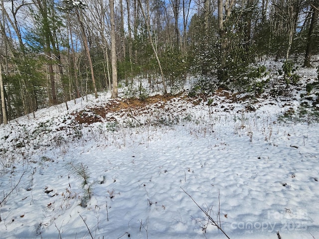 Listing photo 2 for 0 Laurel Branch Rd, Waynesville NC 28785