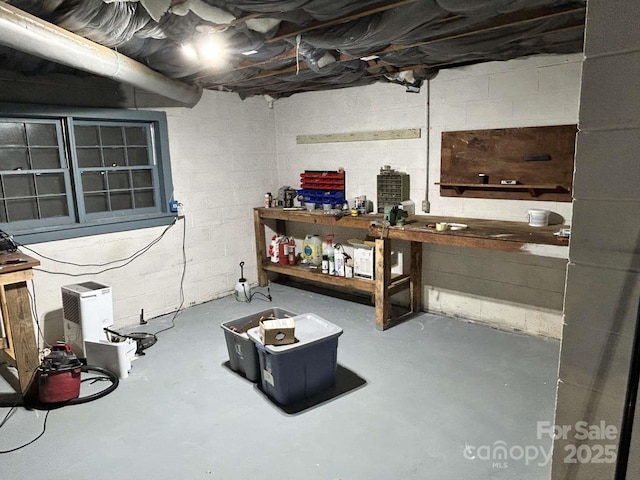 basement with a workshop area