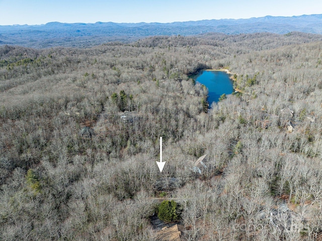 birds eye view of property with a water and mountain view