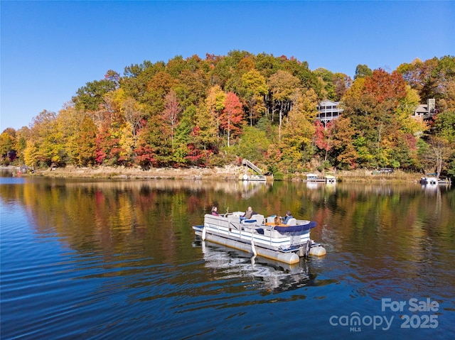 view of dock featuring a water view