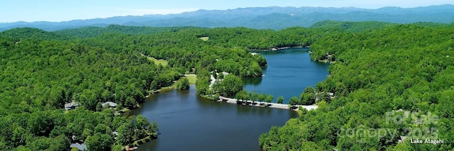 bird's eye view with a water and mountain view