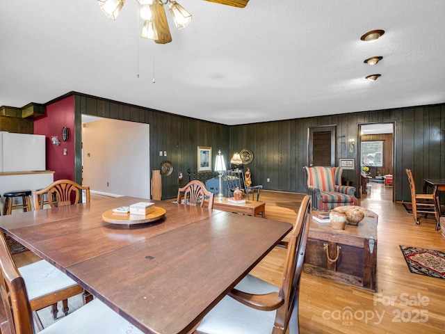 dining space featuring ceiling fan, light hardwood / wood-style floors, and a textured ceiling