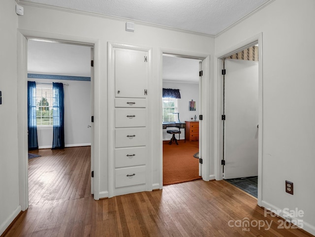 hall with wood-type flooring, plenty of natural light, and crown molding