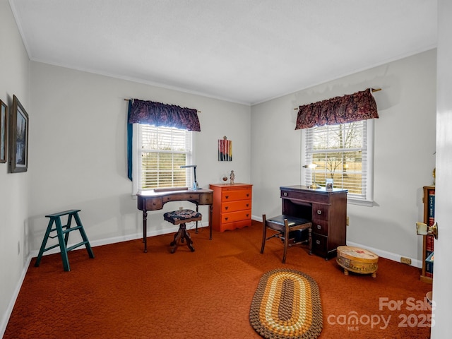 home office with crown molding and carpet