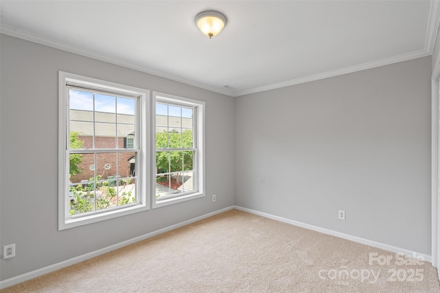 7019 Walnut Ridge Ct, Charlotte, NC 28217 - carpeted empty room featuring ornamental molding and baseboards