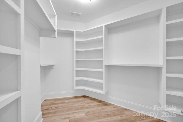 spacious closet with wood-type flooring