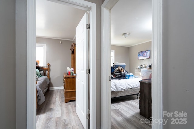 hall featuring crown molding, plenty of natural light, and light wood-type flooring