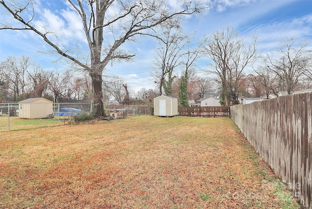 view of yard featuring a storage shed