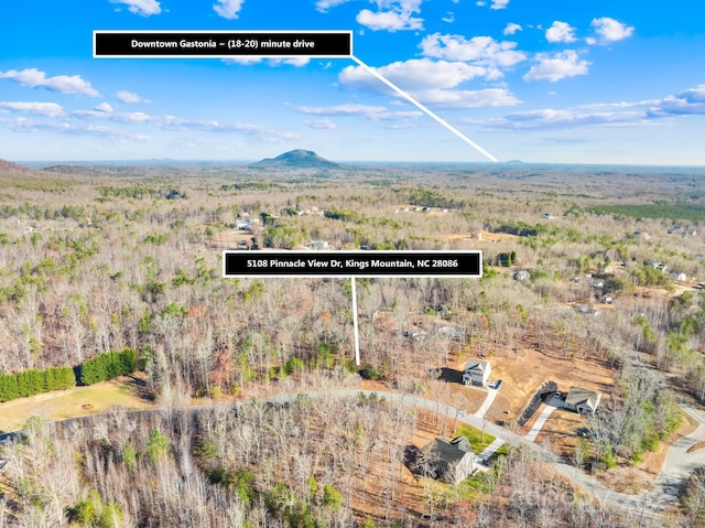 5108 Kings Pinnacle Dr, Kings Mountain, NC 28086 - photo 13
