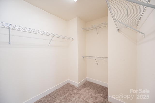 spacious closet with carpet floors