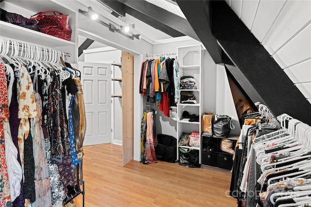 walk in closet featuring hardwood / wood-style flooring