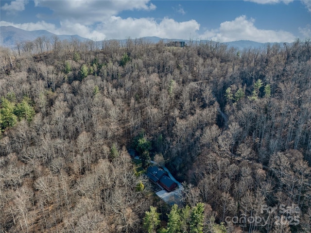 drone / aerial view with a mountain view