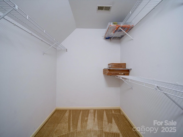 walk in closet with carpet