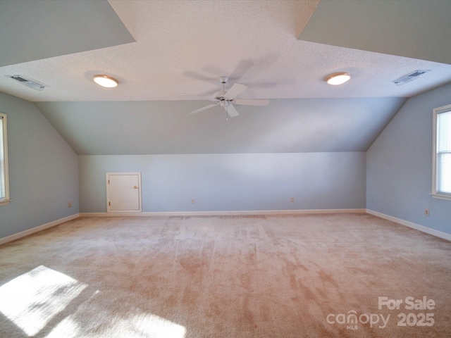 additional living space featuring a textured ceiling, light carpet, and vaulted ceiling