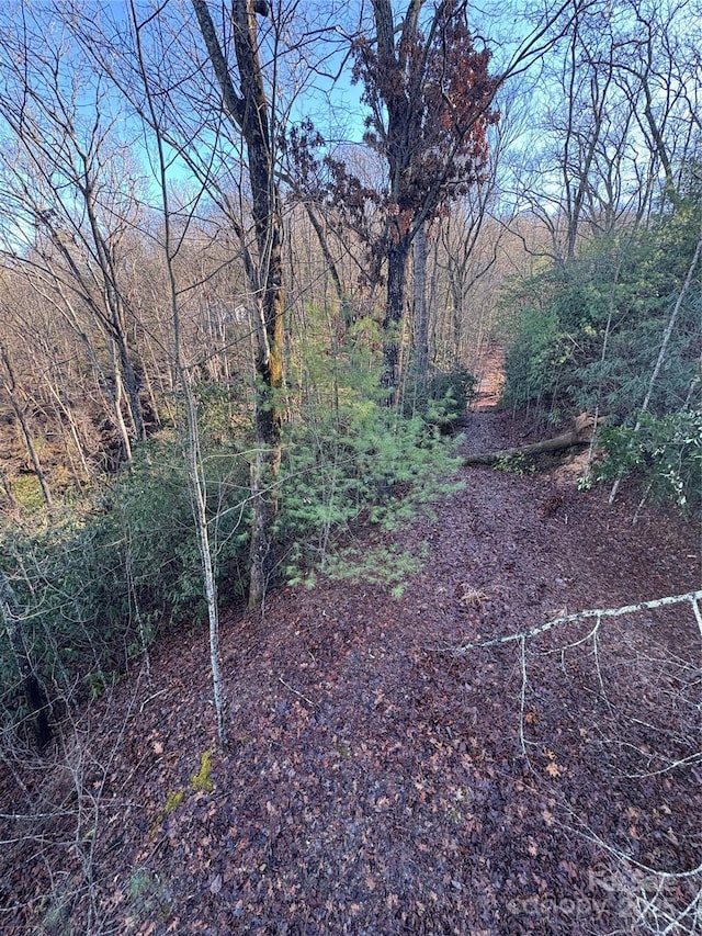 5538 Spring Rd Unit 1, Hendersonville, NC 28739