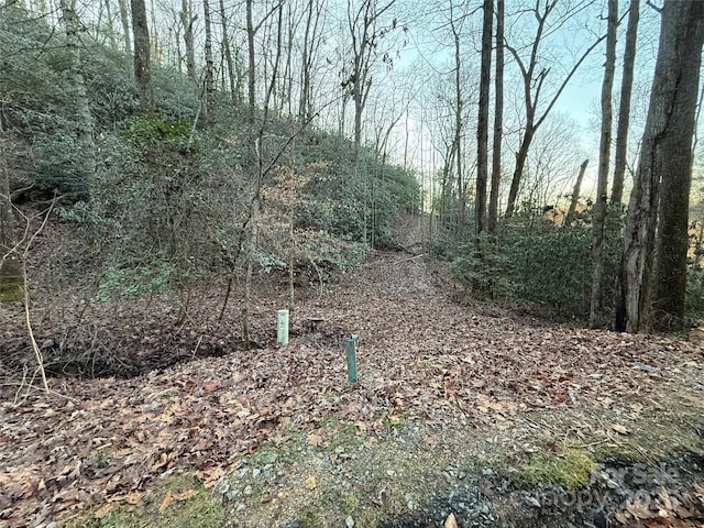 5538 Spring Rd Unit 1, Hendersonville, NC 28739