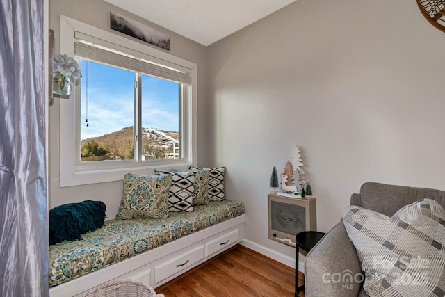 sitting room with a mountain view and light hardwood / wood-style floors