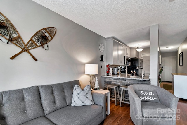 living room with dark hardwood / wood-style floors and a textured ceiling