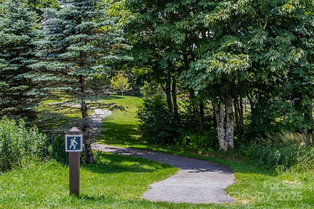 view of property's community with a yard