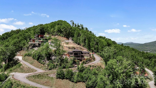 159 Marble Heights Trl, Hendersonville, NC 28791 - photo 41