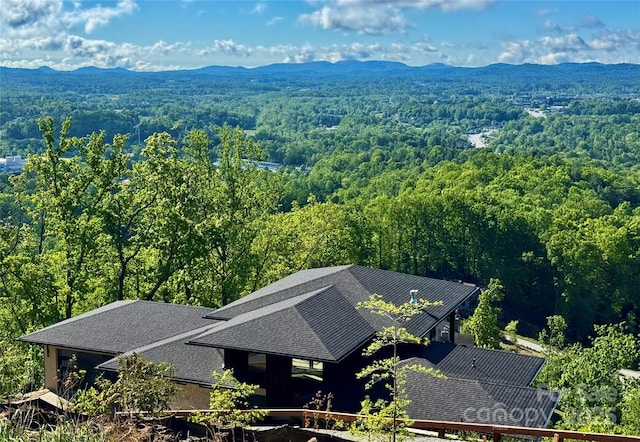 159 Marble Heights Trl, Hendersonville, NC 28791 - photo 44