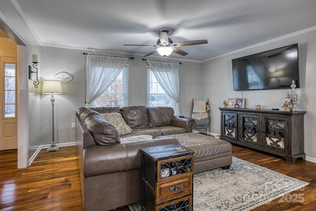 living room with dark wood-type flooring, crown molding, and ceiling fan