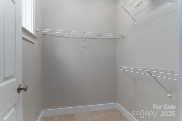 view of spacious closet