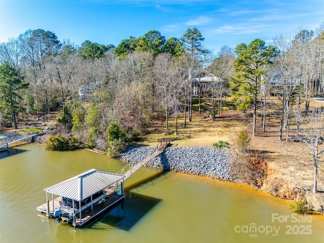 view of dock with a water view