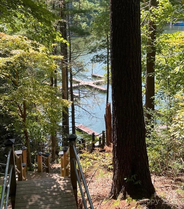 0 Waters Edge Drive 16-15 & 17-15, Nebo, NC 28761