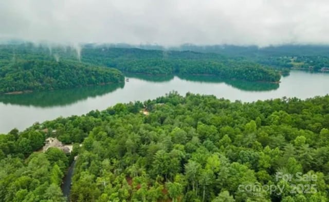 0 Waters Edge Drive 16-15 & 17-15, Nebo, NC 28761
