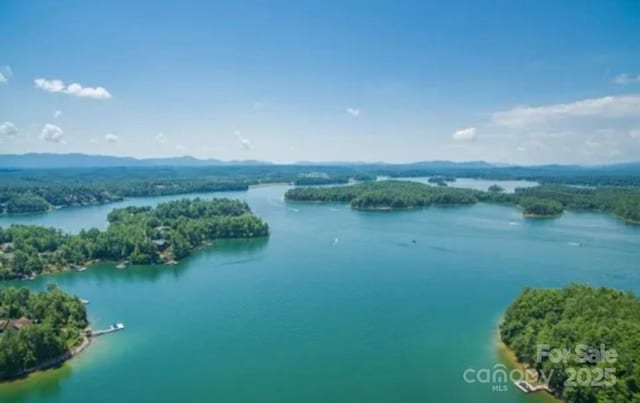 0 Waters Edge Drive 16-15 & 17-15, Nebo, NC 28761