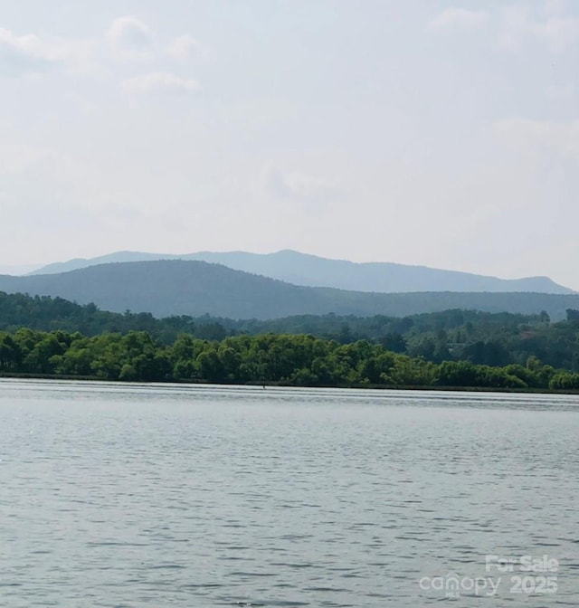 0 Waters Edge Drive 16-15 & 17-15, Nebo, NC 28761