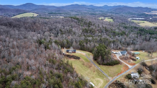 birds eye view of property featuring a mountain view