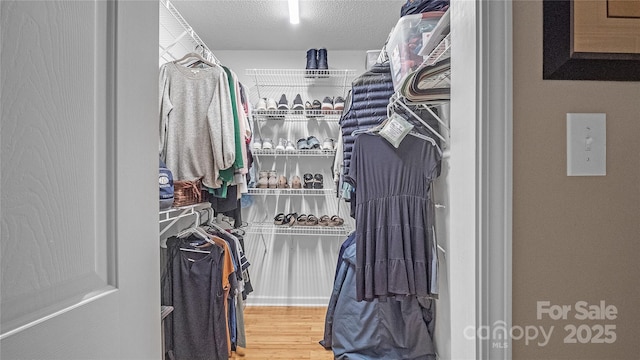 spacious closet featuring wood-type flooring