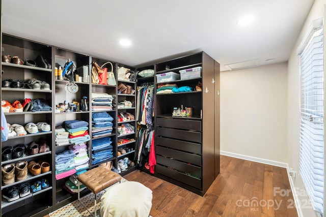 walk in closet featuring dark wood-type flooring