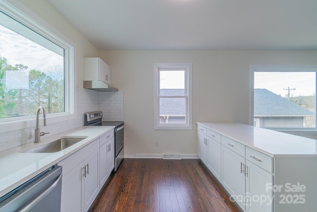 kitchen with white cabinetry, sink, stainless steel appliances, dark hardwood / wood-style flooring, and backsplash