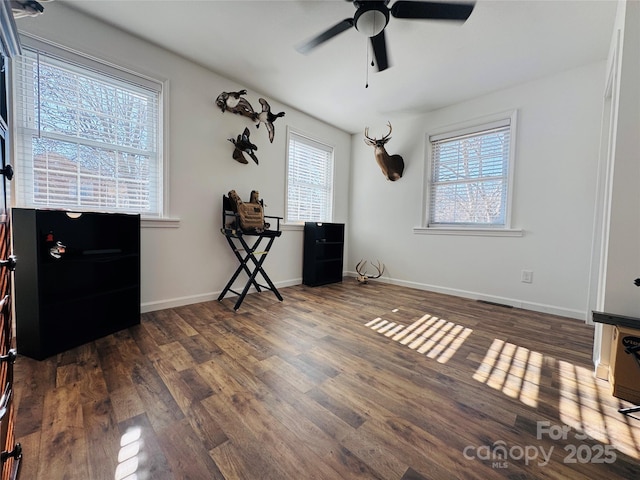 interior space with ceiling fan, dark hardwood / wood-style flooring, and a wealth of natural light