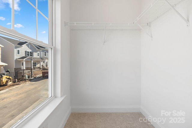 spacious closet with carpet floors