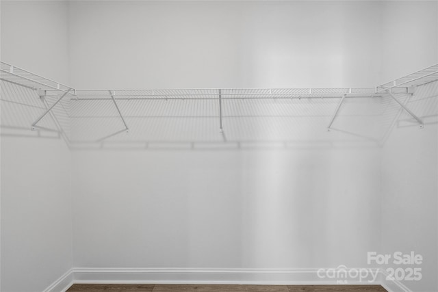 143 Cherry Springs Ln Unit 13-C, Asheville, NC 28804 - walk in closet featuring dark wood-style flooring