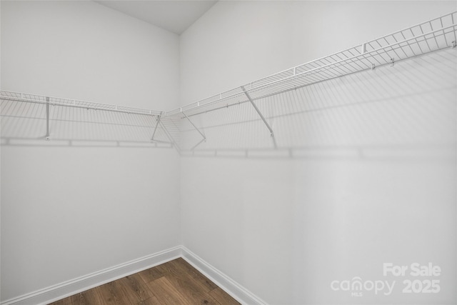 143 Cherry Springs Ln Unit 13-C, Asheville, NC 28804 - spacious closet featuring dark wood-style floors