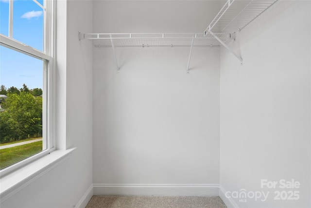 143 Cherry Springs Ln Unit 13-C, Asheville, NC 28804 - walk in closet featuring carpet