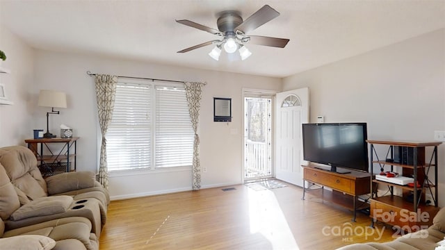 living room with ceiling fan and light wood-type flooring