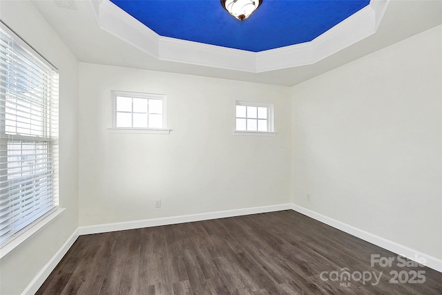 empty room featuring dark hardwood / wood-style floors and a raised ceiling