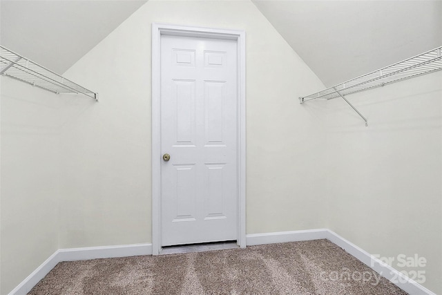 spacious closet with carpet flooring and lofted ceiling