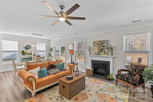 living room featuring crown molding, ceiling fan, and light hardwood / wood-style floors