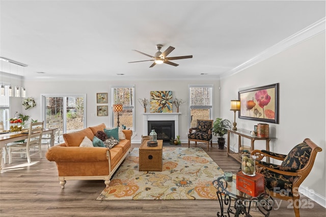 living room featuring ceiling fan, wood-type flooring, and ornamental molding