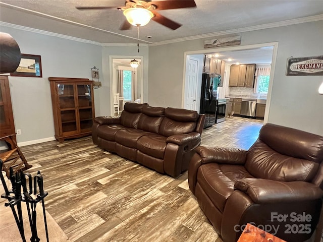 living room featuring ceiling fan, light wood-type flooring, ornamental molding, and a textured ceiling